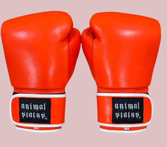 Properfist MMA gloves